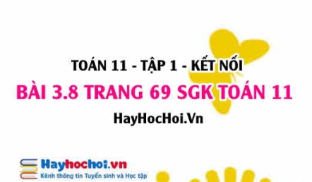 Giải bài 3.8 trang 69 Toán 11 tập 1 SGK Kết nối tri thức